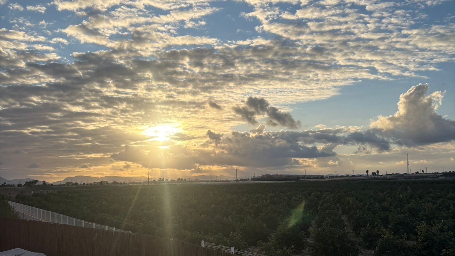 photo taken from the back terrace, overlooking the orange tree field behind the house, while the sun is setting